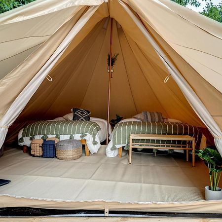 Firefly Ridge Luxury Retreat Hotel Great Cacapon Eksteriør billede