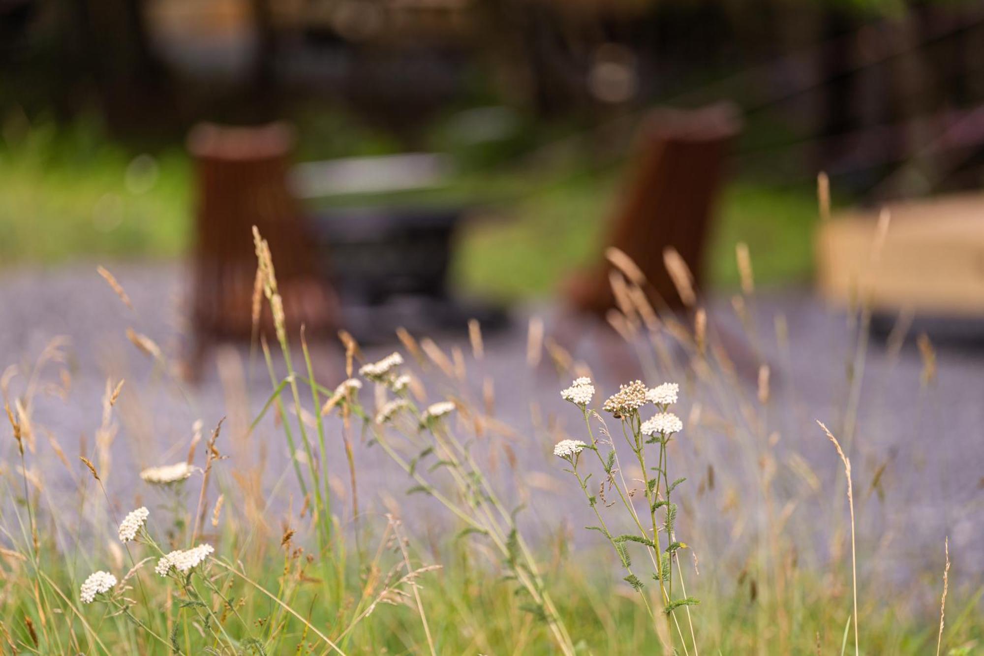 Firefly Ridge Luxury Retreat Hotel Great Cacapon Eksteriør billede